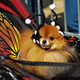 Illustration for article titled The Best Costumes From The Tompkins Square Dog Parade